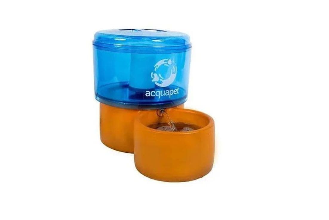 Bebedouro para Pet e fonte para gato: conheça os benefícios e importância!